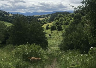 Výstup na Katovu skalu